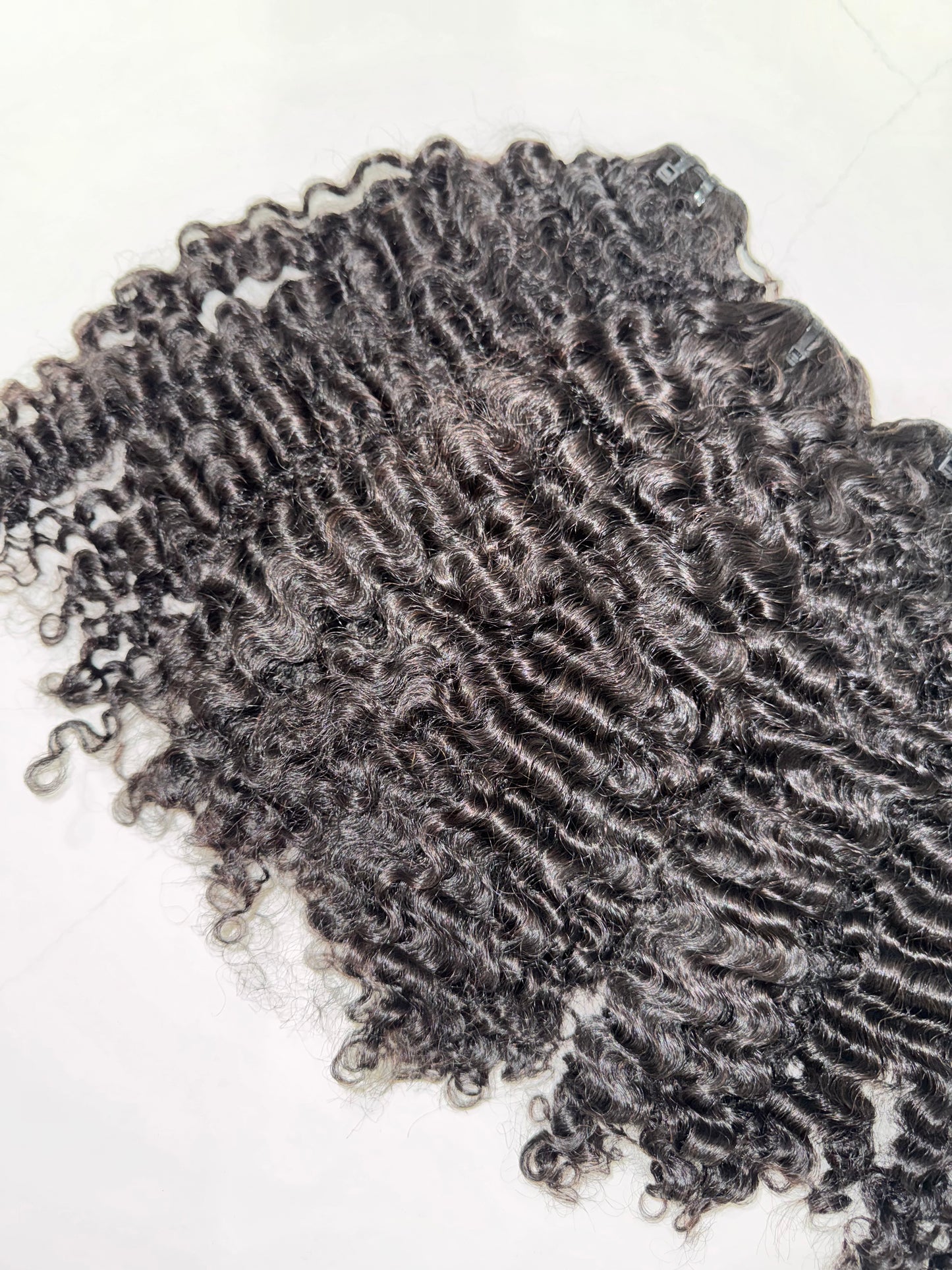 Burmese Curly Bundle Deal