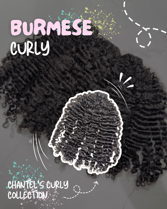 Burmese Curly Single Bundles
