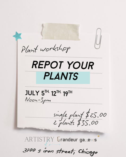 Plant Workshop July 12th