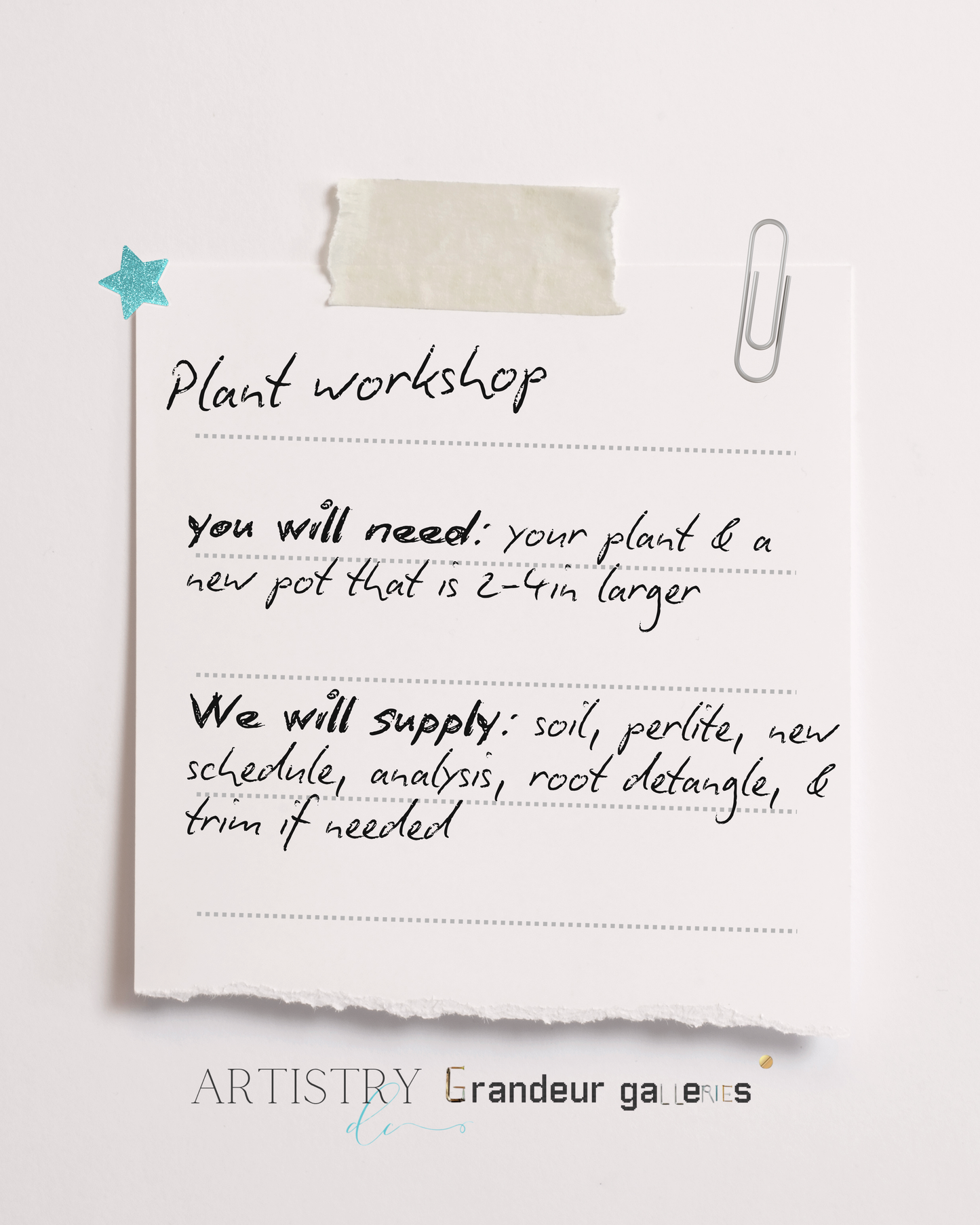 Plant Workshop July 12th